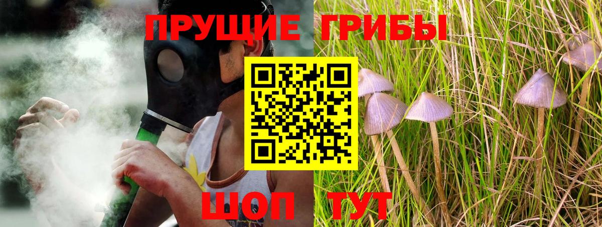 Бугуруслан  Галлюциногенные грибы Cubensis  Вход с VPN 