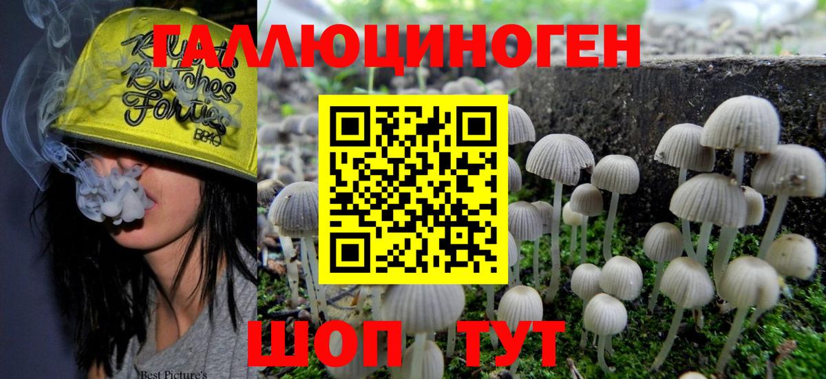 Псилоцибиновые грибы MAGIC MUSHROOMS Бугуруслан